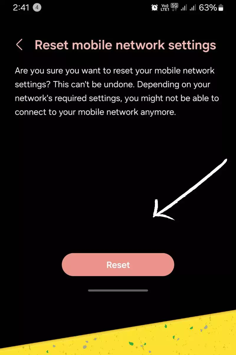 confirmation of the reset mobile network settings screenshot