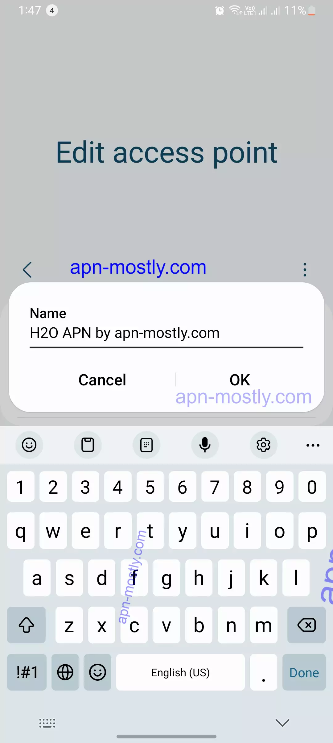 naming the H2O APN Settings on samsung