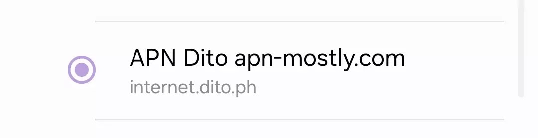 cropped screenshot of dito apn