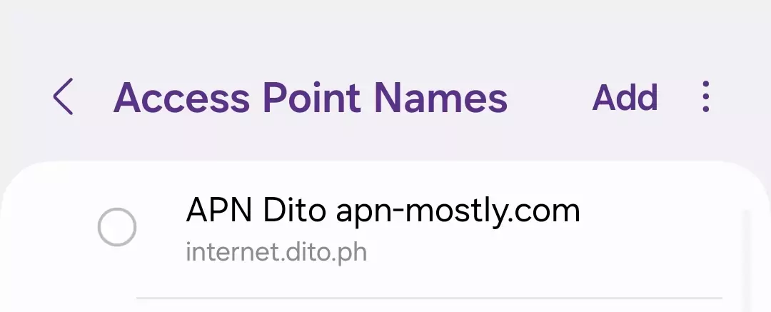 cropped ss of access point names for dito apn mostly