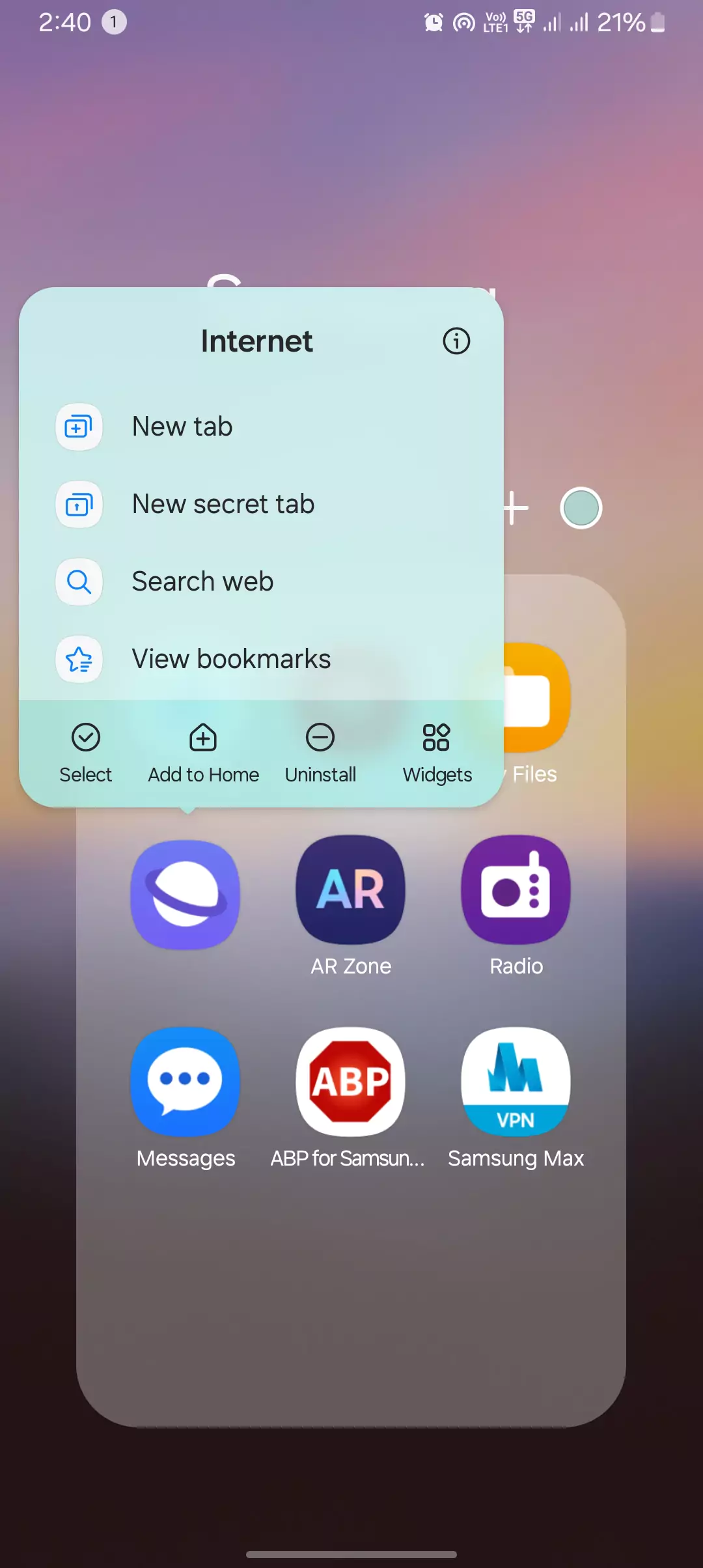 screenshot of Samsung internet browser app info