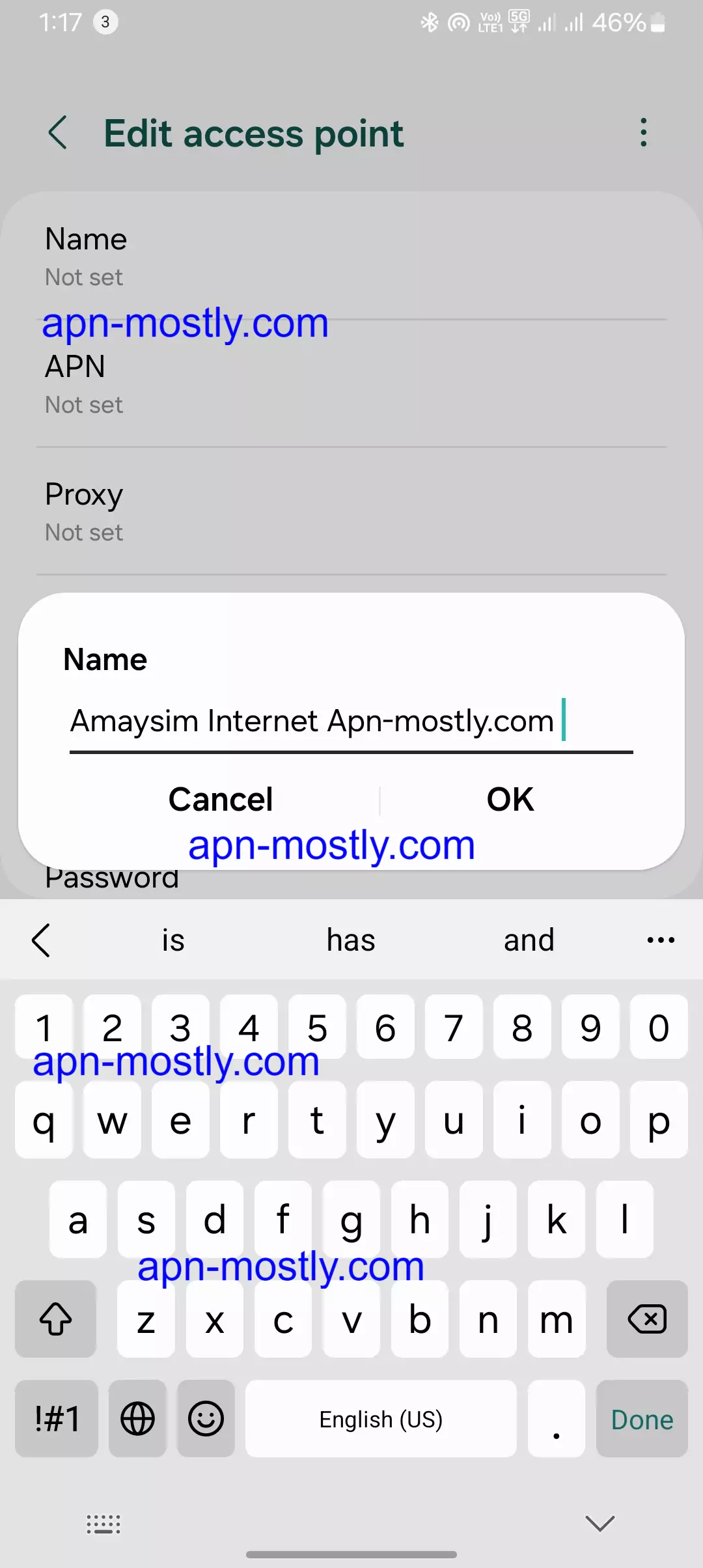 screenshot of naming the new APN for amaysim