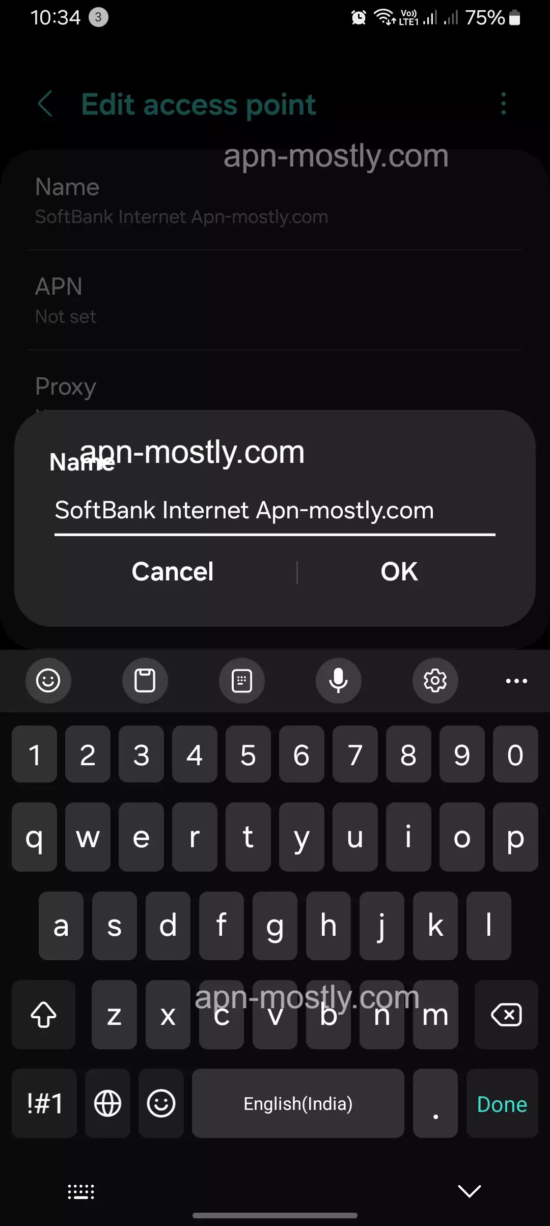 screenshot of naming the softbank internet setting
