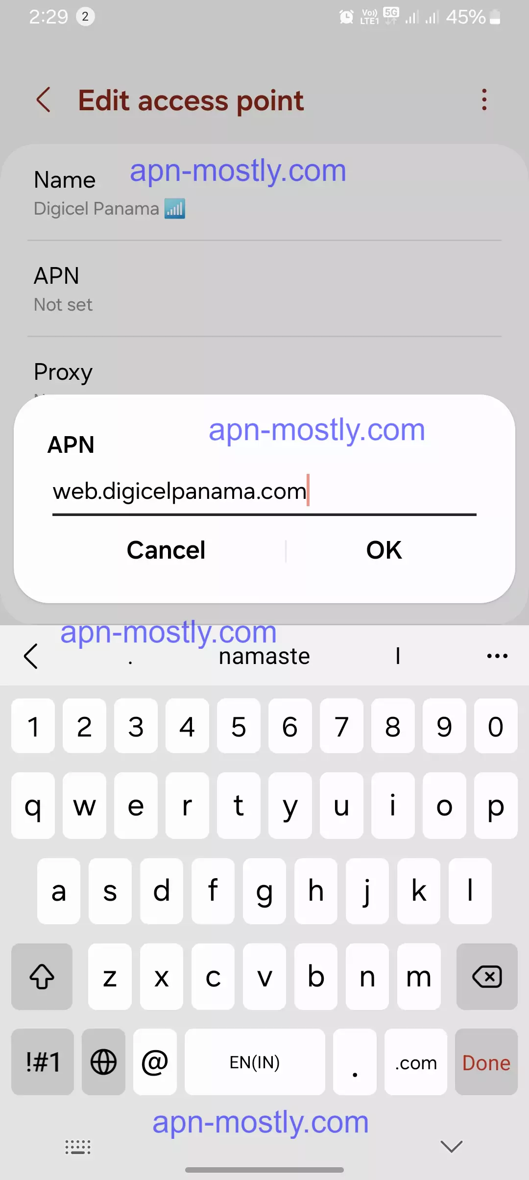 screenshot of adding the APN into the digicel for interest