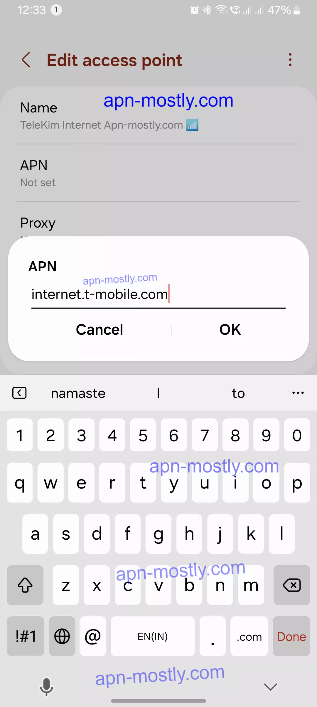 screenshot of adding the APN values into the field