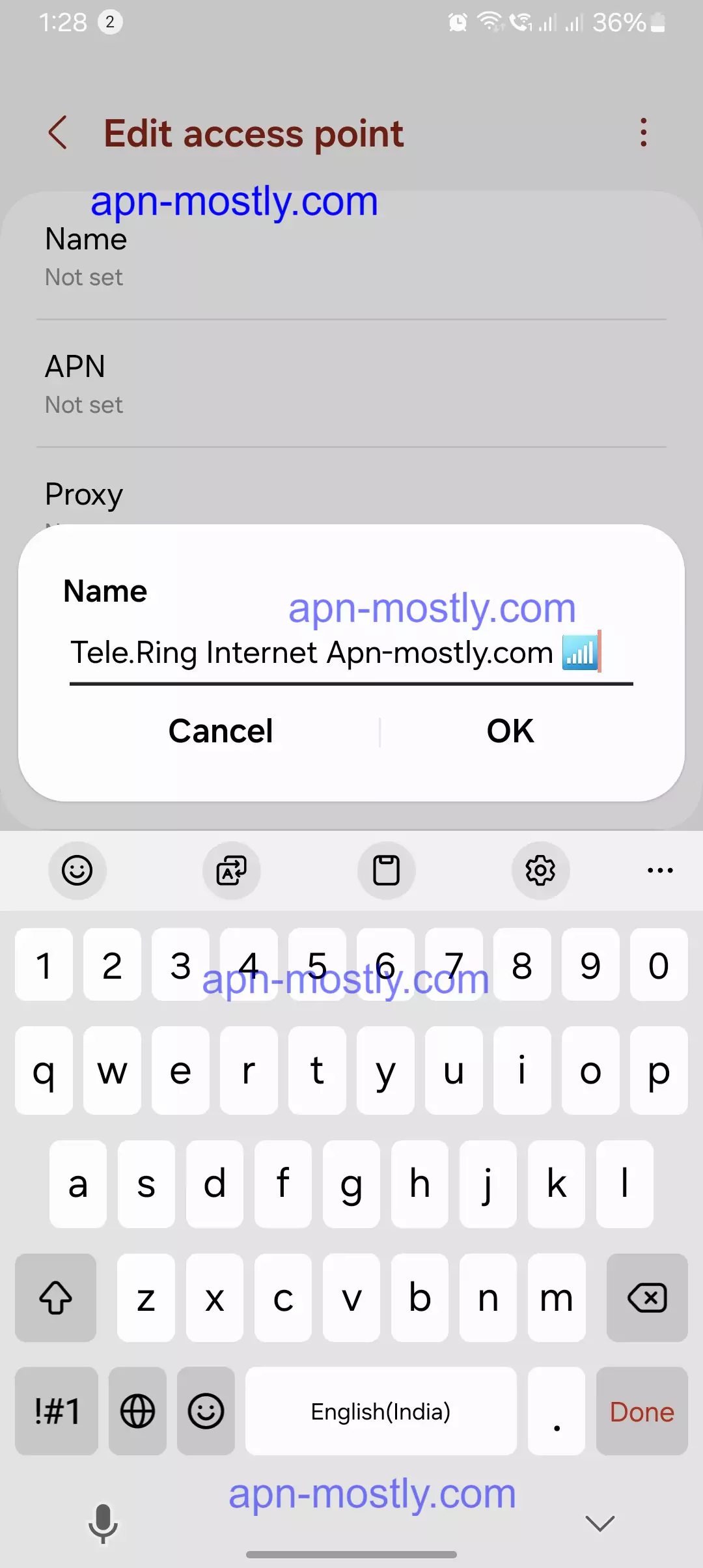 screenshot of naming the apn for Tele.ring