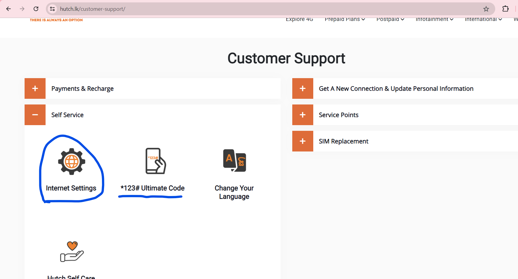 screenshot of customer support for the hutch