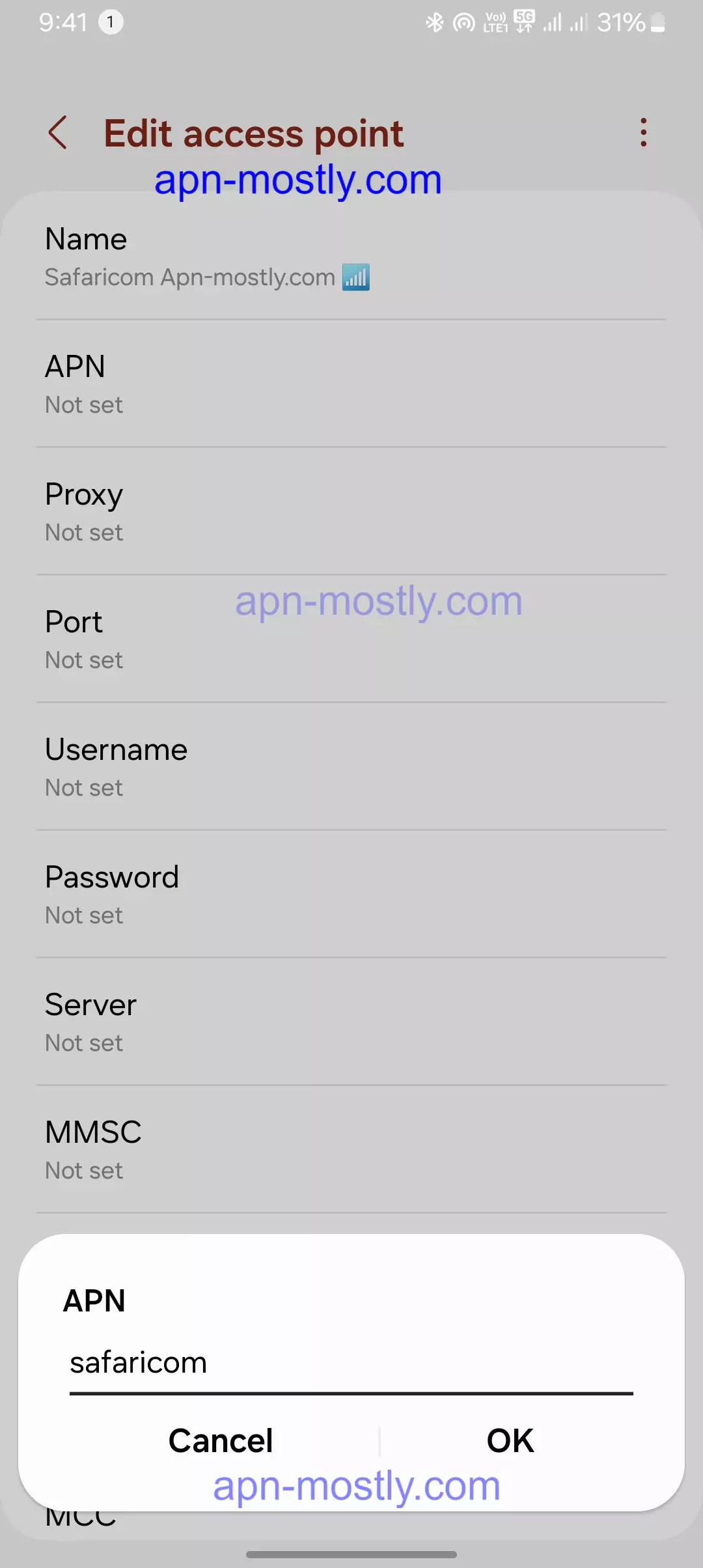 screenshot of adding the apn value into the beeline
