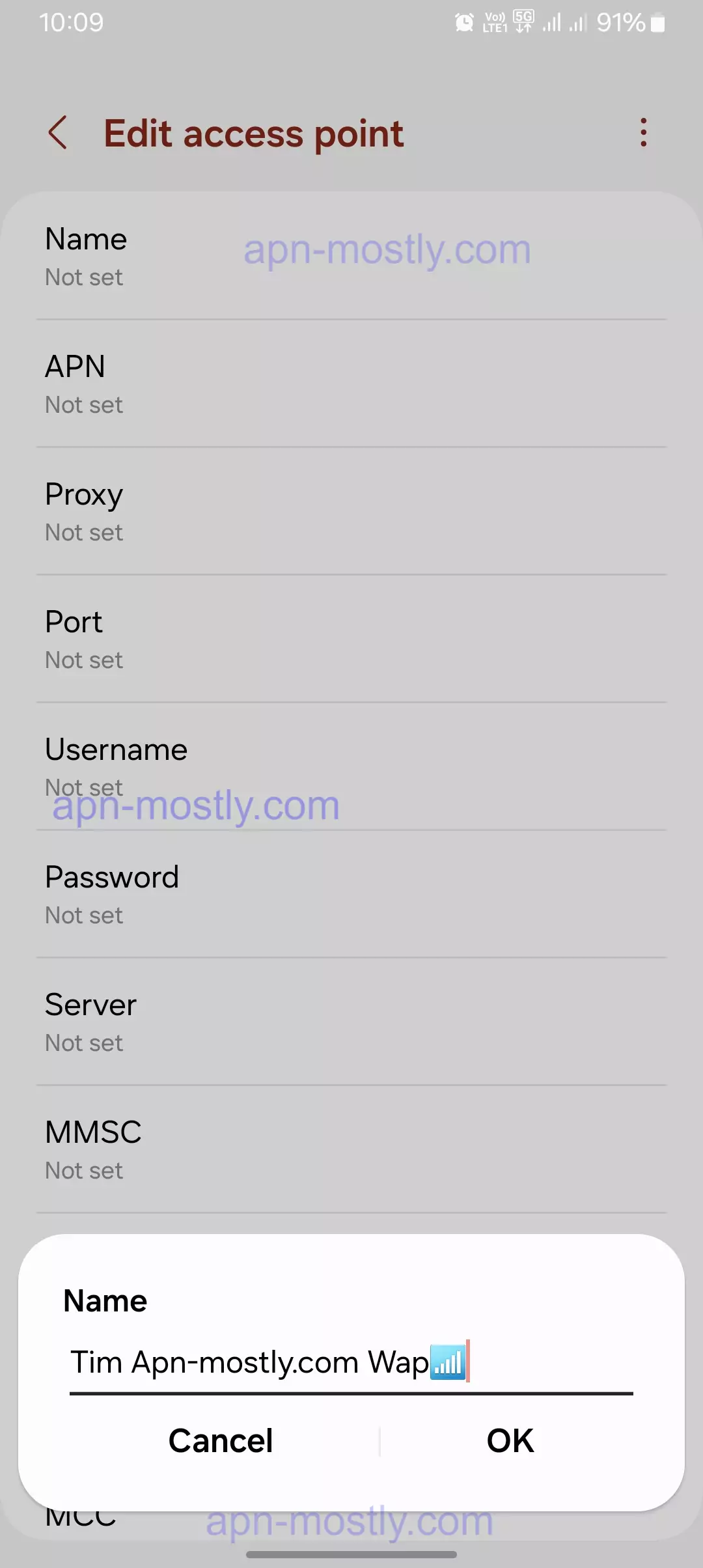 screenshot of naming the apn for TIM users